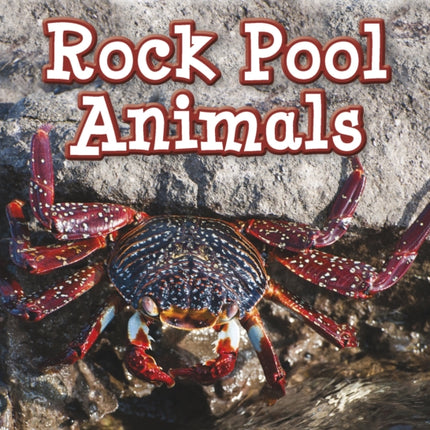 Rock Pool Animals Animals in Their Habitats