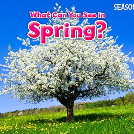 What Can You See In Spring?