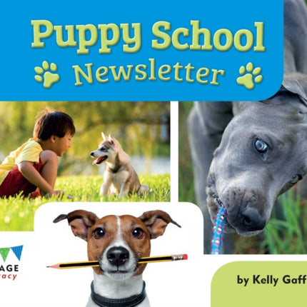 Puppy School Newsletter