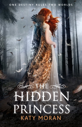 The Hidden Princess