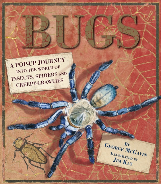 Bugs: A Pop-up Journey into the World of Insects, Spiders and Creepy-crawlies