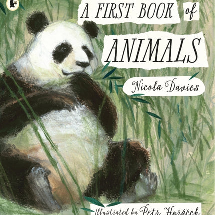 A First Book of Animals