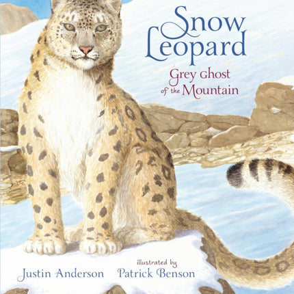 Snow Leopard: Grey Ghost of the Mountain