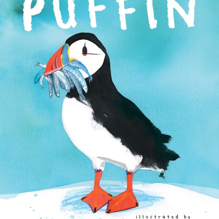 Puffin