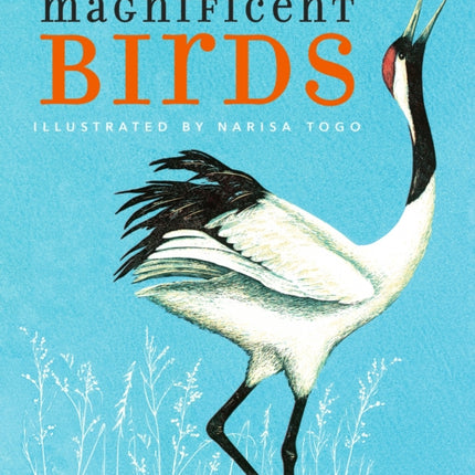 Magnificent Birds