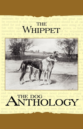 The Whippet  A Dog Anthology A Vintage Dog Books Breed Classic
