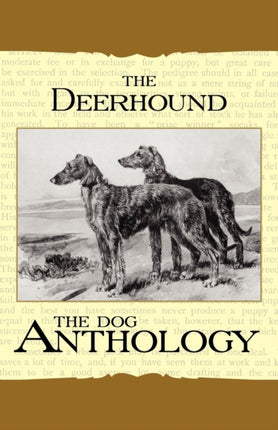 The Deerhound  A Dog Anthology A Vintage Dog Books Breed Classic