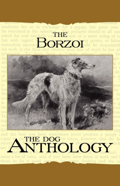 Borzoi The Russian Wolfhound  A Dog Anthology A Vintage Dog Books Breed Classic