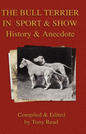 The Bull Terrier in Sport And Show  History  Anecdote