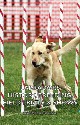 Labradors  History Breeding Field Trials  Shows