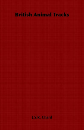 British Animal Tracks