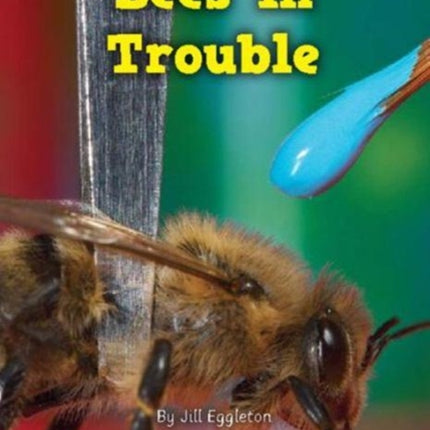Bees in Trouble