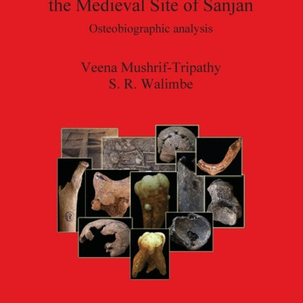 Human Skeletal Remains from the Medieval Site of Sanjan Osteobiographic analysis 2353 British Archaeological Reports International Series