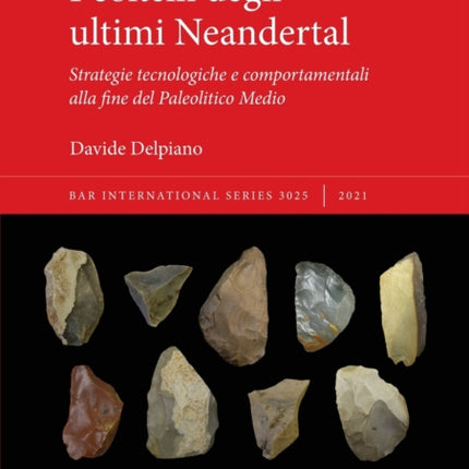 I coltelli degli ultimi Neandertal Strategie tecnologiche e comportamentali alla fine del Paleolitico Medio 3025 British Archaeological Reports International Series