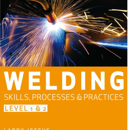 Welding Skills, Processes and Practices: Level 2