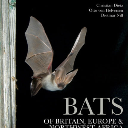 Bats of Britain Europe and Northwest Africa