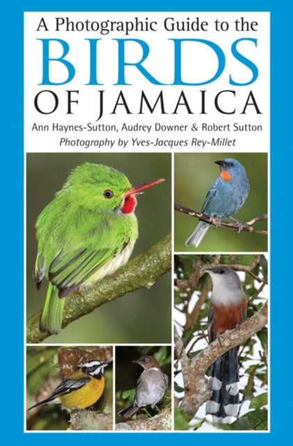 A Photographic Guide to the Birds of Jamaica