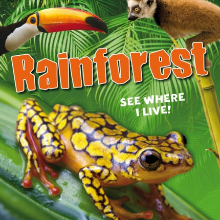 Rainforest See Where I Live