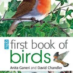 Collection image for: Books by Anita Ganeri