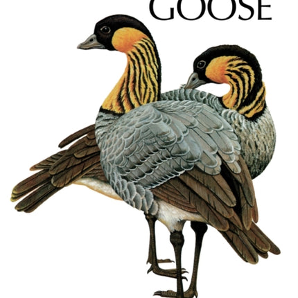 The Hawaiian Goose