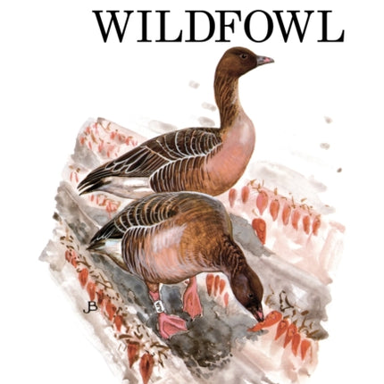 Man and Wildfowl