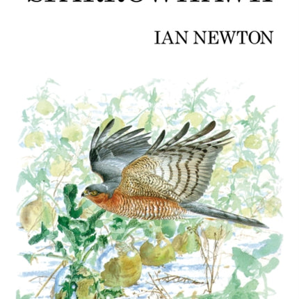 The Sparrowhawk