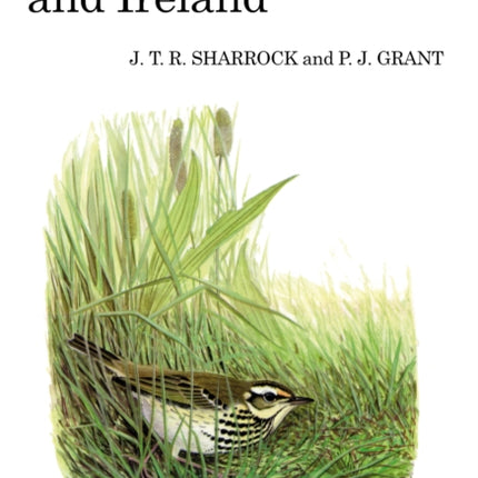 Birds New to Britain and Ireland