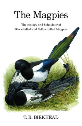 The Magpies The Ecology and Behaviour of