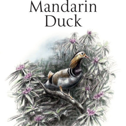 The Mandarin Duck