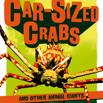 CarSized Crabs and other Animal Giants