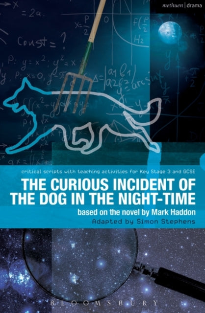 The Curious Incident of the Dog in the Night-Time: The Play