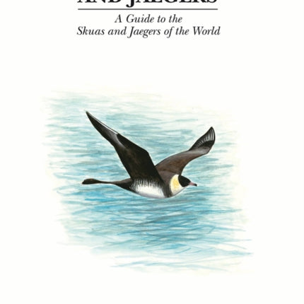 Skuas and Jaegers