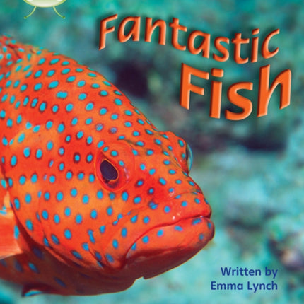 Bug Club Phonics - Phase 4 Unit 12: Fantastic Fish