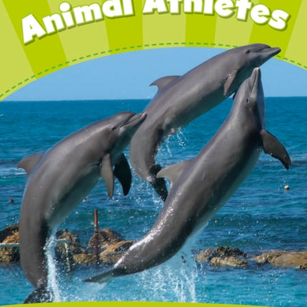 Level 4 Animal Athletes CLIL