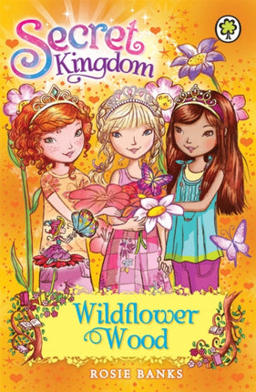 Secret Kingdom: Wildflower Wood: Book 13