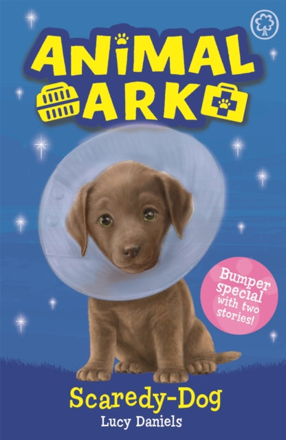 Animal Ark, New 2: Scaredy-Dog: Special 2