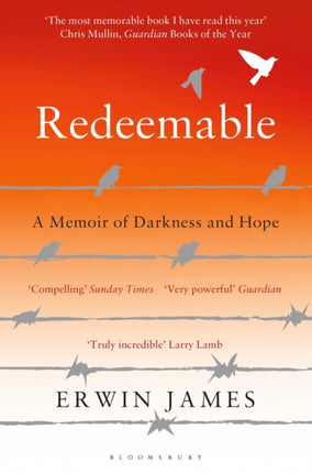 Redeemable: A Memoir of Darkness and Hope