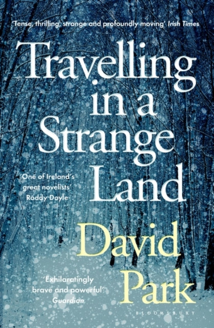 Travelling in a Strange Land: Winner of the Kerry Group Irish Novel of the Year