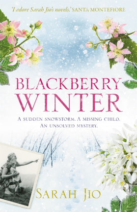 Blackberry Winter: The stunning festive mystery to curl up with over the holidays!