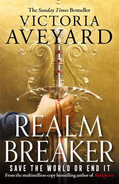 Realm Breaker: The first explosive adventure in the Sunday Times bestselling fantasy series from the author of Red Queen