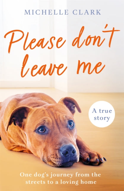 Please Dont Leave Me