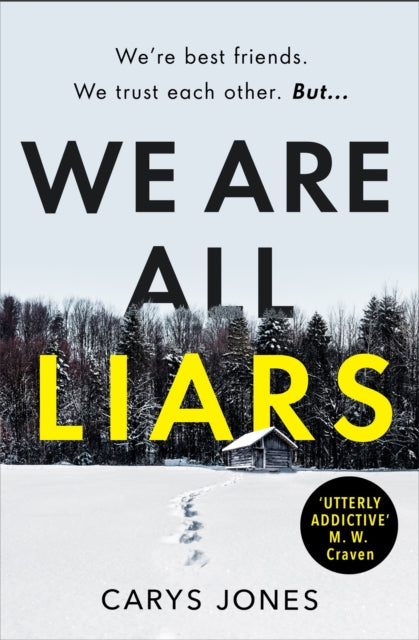 We Are All Liars: The 'utterly addictive' winter thriller with twists you won't see coming