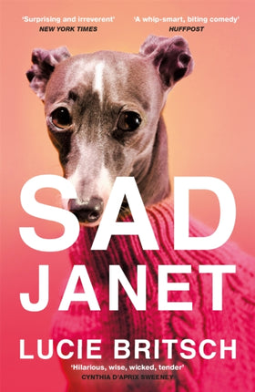 Sad Janet: ‘A whip-smart, biting tragicomedy’ HuffPost