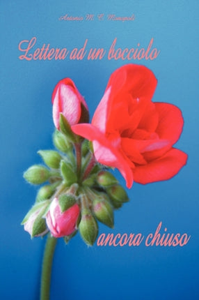 Lettera AD UN Bocciolo Ancora Chiuso