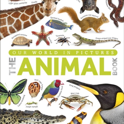 Our World in Pictures The Animal Book