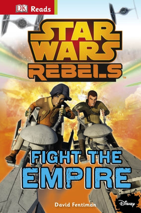 Star Wars Rebels Fight The Empire