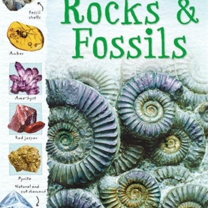 Rocks and Fossils