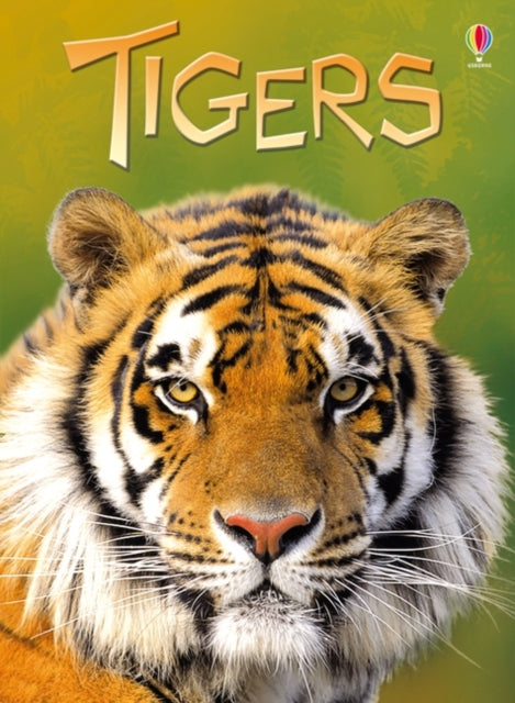 Tigers