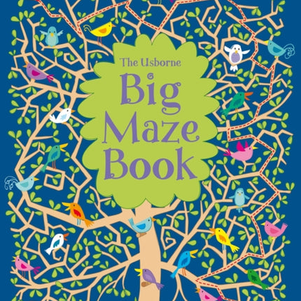 Big Maze Book