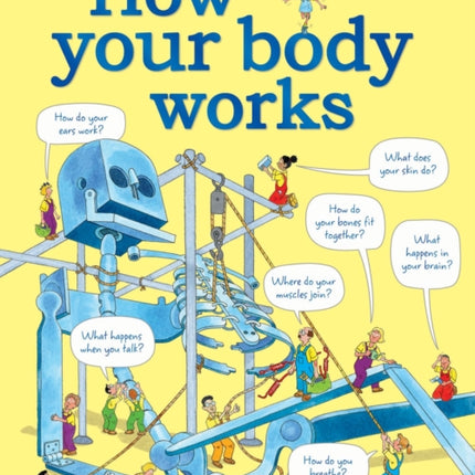 How your body works